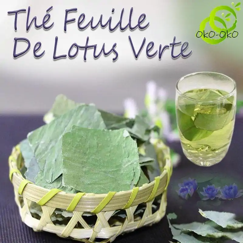 Thé et Infusion <br> Feuille de lotus Verte. | OkO-OKO™ Infusion de Feuille de Lotus Verte Organique | OkO-OkO
