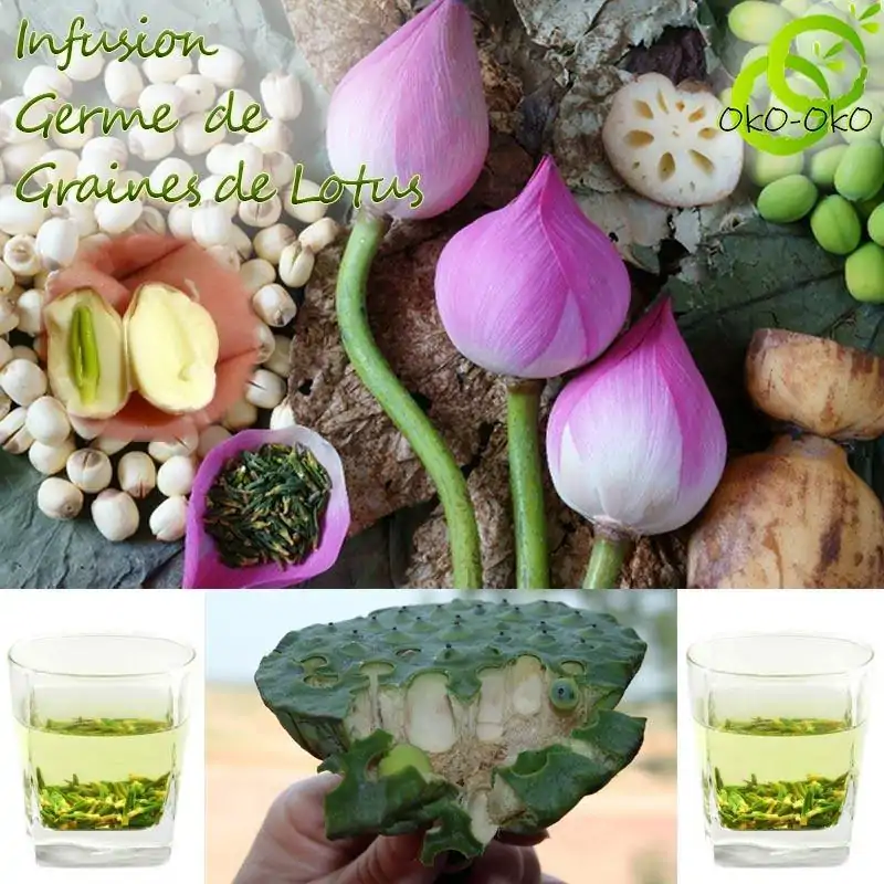 Thé et Infusion <br> Thé de Germe de Lotus (200 g). | OkO-OKO™ Thé de Germe de Lotus | OkO-OkO