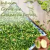 Thé et Infusion <br> Thé de Germe de Lotus (200 g). | OkO-OKO™ Thé de Germe de Lotus 250 g | OkO-OkO™