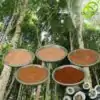 Polvo de madera de agar para incienso origen Indonesia Java, Hainan, Hangzhou, Vietnam región de Gosi, Vietnam región de Nha Trang | OkO-OkO