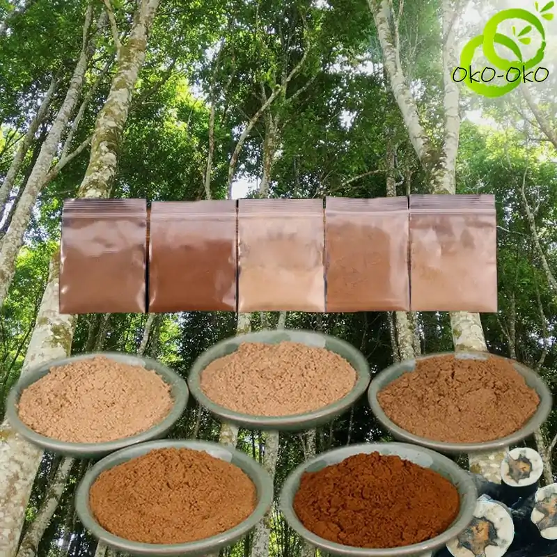 Assortiment de bois d'agar pour encens en poudre | OkO-OkO
