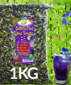 Guisante mariposa al por mayor 1kg Clitoria Ternatea o Guisante mariposa | OkO-OkO
