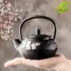 Theiere en Fonte <br> Noire avec Fleur de Cerisier | OkO-OKO™ Théière-en-fonte-noire-fleur-de-cerisier-dans la main oko-oko