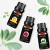Huile essentielle <br> Thérapeutiques grade - Menu N°4. | OkO-OKO™ huiles-essentielles-therapeutiques-grade-menu-4-oko-oko