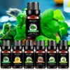 Huile essentielle <br> Thérapeutiques grade - Menu N°5. | OkO-OKO™ huiles-essentielles-therapeutiques-grade-menu-n-5-oko-oko