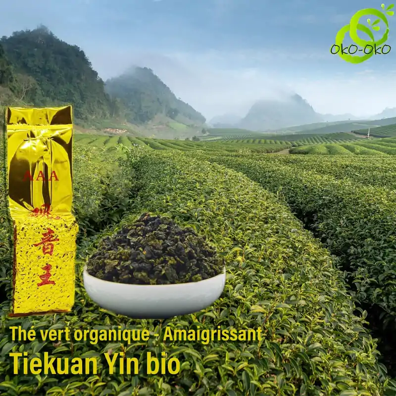 Organischer grüner Tee Oolong | OkO-OkO
